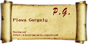 Pleva Gergely névjegykártya
